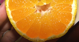 ÉÔÃβÐ2