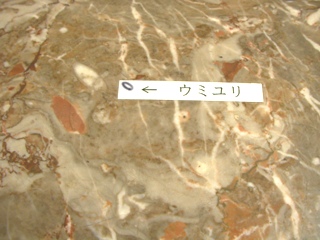 ¸©Ä£4