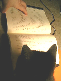 ネコ読む