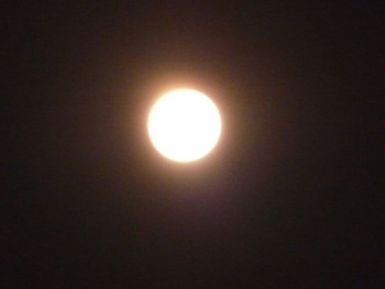 120109−3
