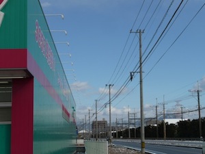 もどり
