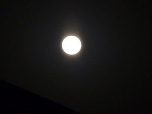 120208tuki
