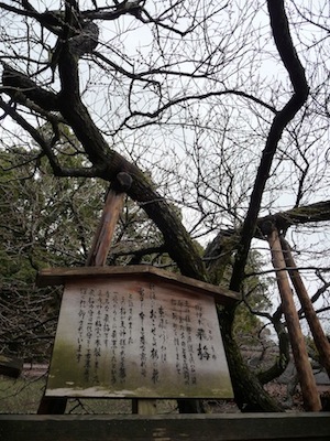 とびうめ
