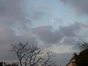 1203122