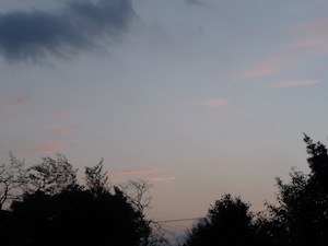 120320