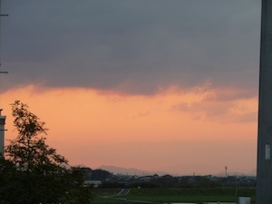 120325