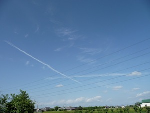 120514くも