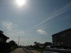 120514くも2