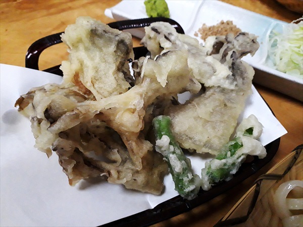 がっきーと行くうどんツアーVol.11