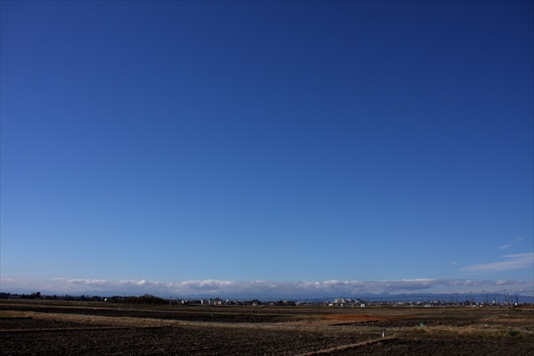 一人でも行くうどんツアー
