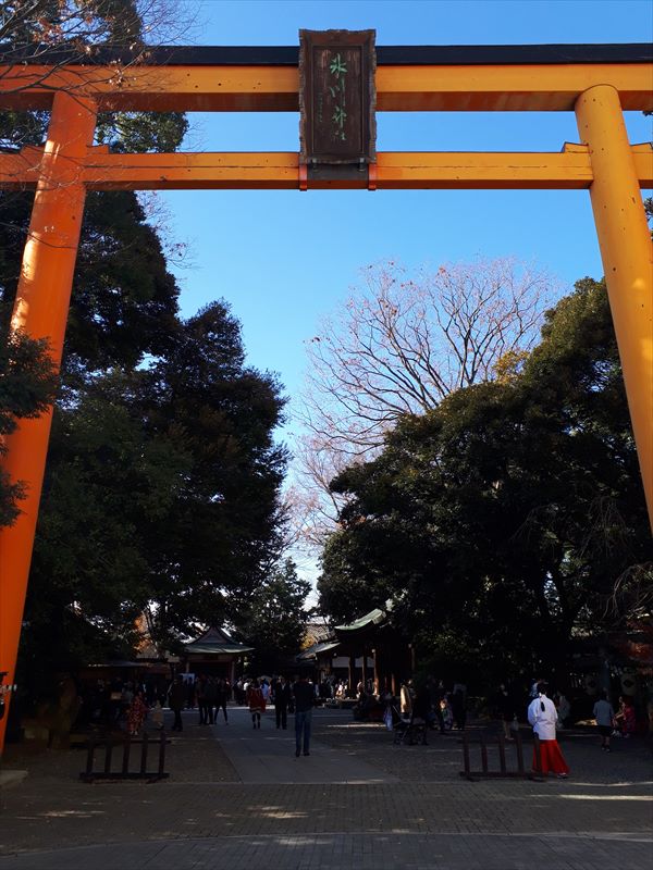 一人でも行くうどんツアー