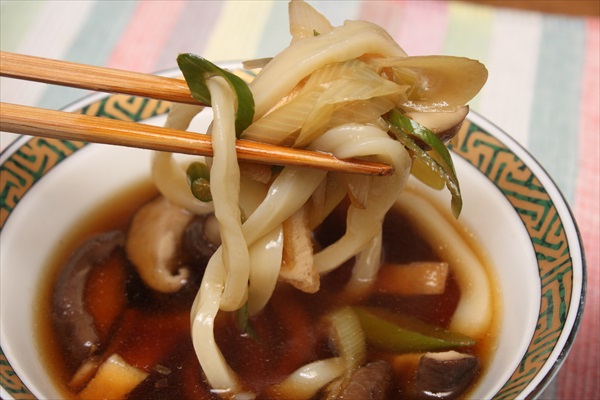 一人でも行くうどんツアー