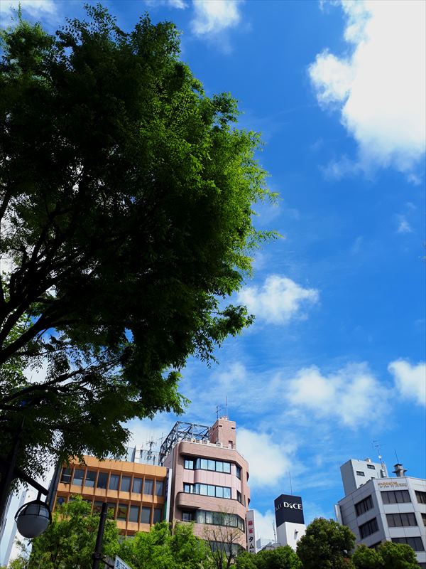 プチ池袋組