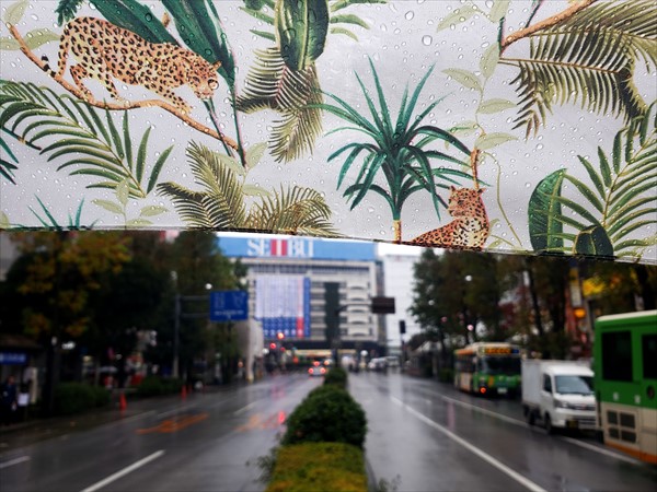 プチ池袋組