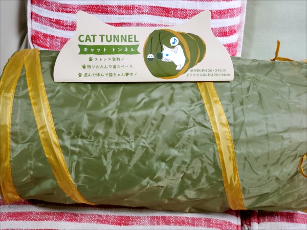 シャオラン、キャットトンネル