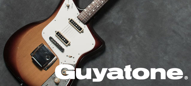 5月の新じゃが豊作か?TEISCO May Queenが勢ぞろいしました 5月の新じゃが豊作か?TEISCO May Queenが勢ぞろいしました
