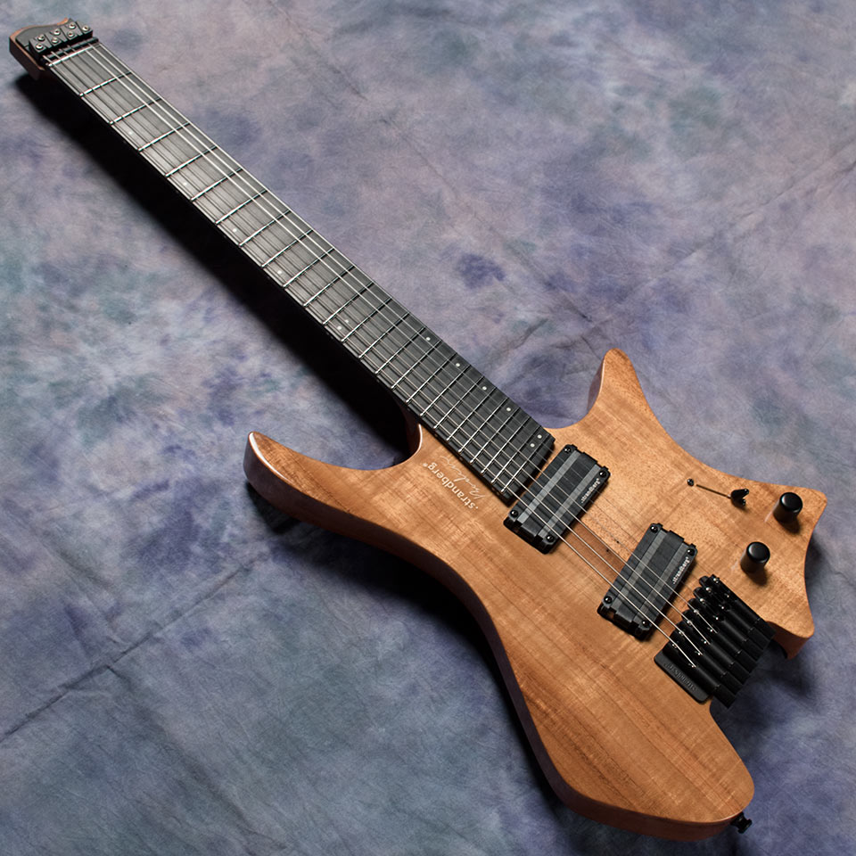 Strandberg J Series Boden Custom エキゾチックトップ入荷!!