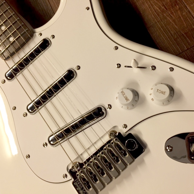 Danelectro 