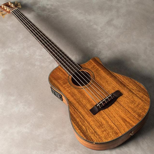 Victor Bailey Signature Acoustic 5 String Bass
