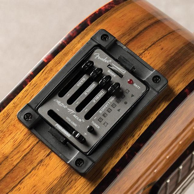 Victor Bailey Signature Acoustic 5 String Bass
