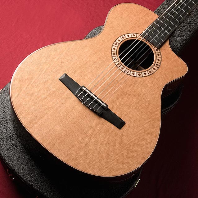 Taylor NS-72CE