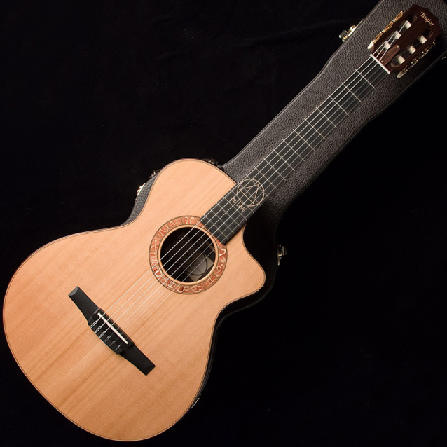 お得，大得価 Jeison ジェイソン アコースティックギター スタンダード