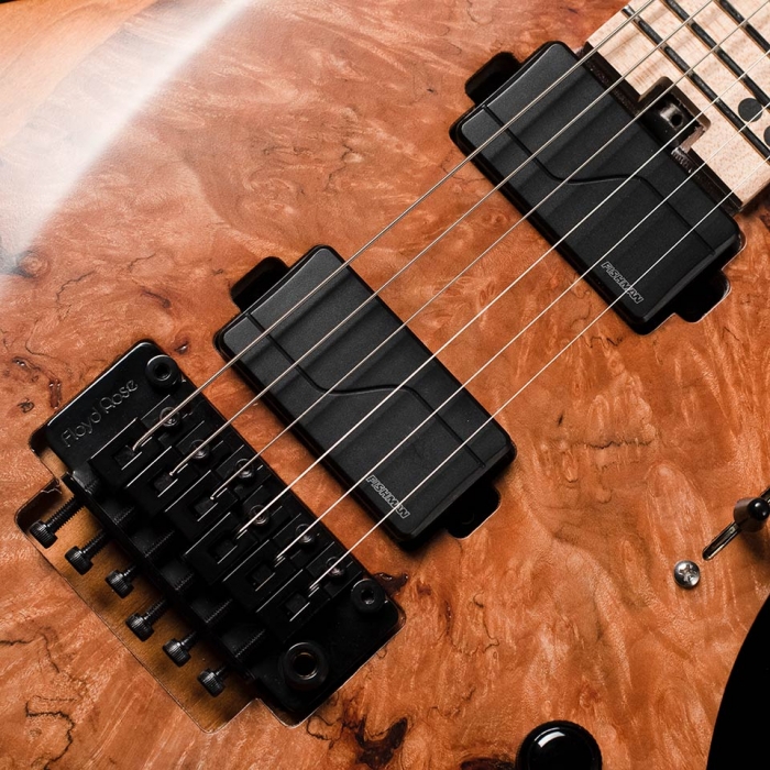 ABASI GUITARS / Custom Burl Maple | MIYAJI GUTARS KANDA ギター