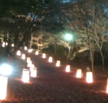フレンチブルドッグもお洒落してお出かけ