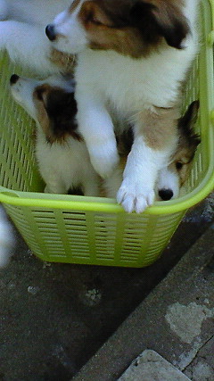 200802161533000.jpg