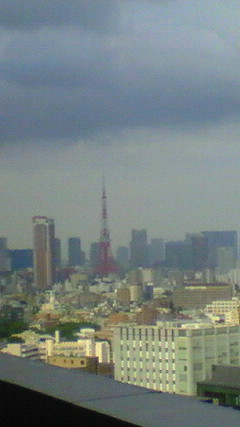 NEC_0217.jpg
