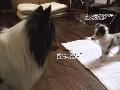 ご対面