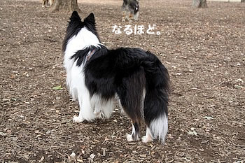 なるほど