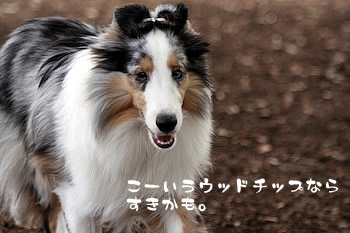 ここは好きかも。