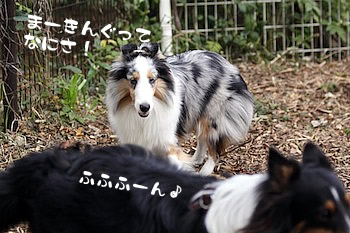 まーきんぐってなにさ!