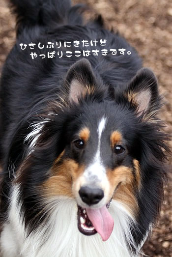 やっぱりここは好きです。