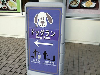 ドッグラン