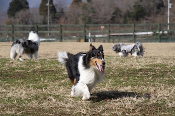 ひさしぶりにMaikiの良い顔