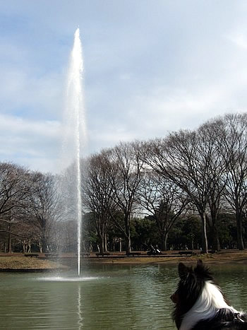 噴水にビックリ
