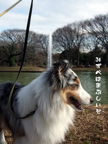 まぶしい
