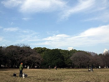 小春日和?