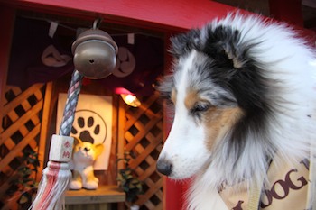 神社って旨いのか?