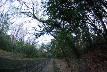 遊歩道