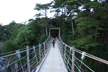 橋立吊橋!