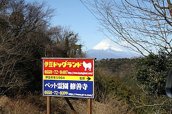 伊豆ドッグランド