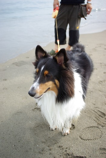 湘南