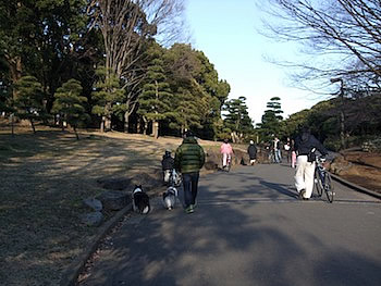 家族連れがいっぱい