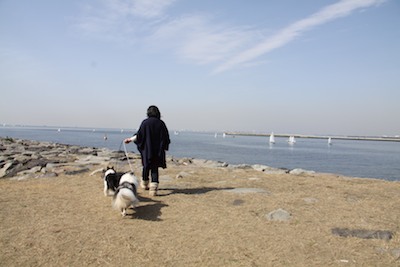 海散歩