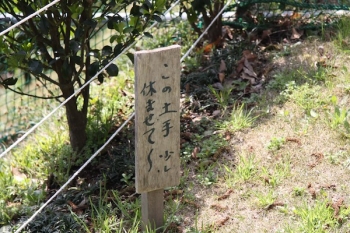 土手を休ませる??