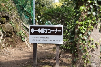 ボール遊びコーナーもある