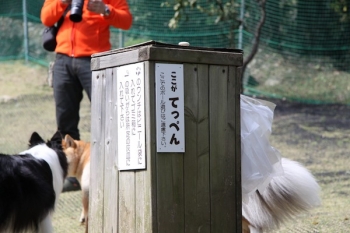 てっぺん??